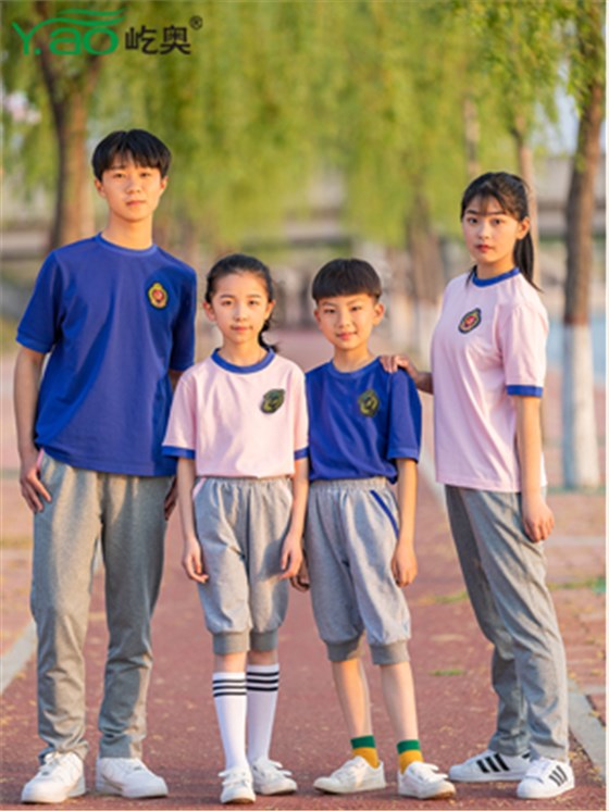 屹奧網站2019小、初、高新款夏季校服套裝